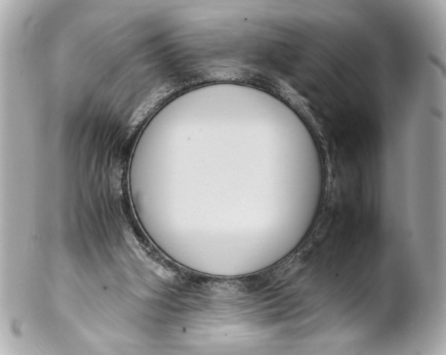 X0000101660106200807311444