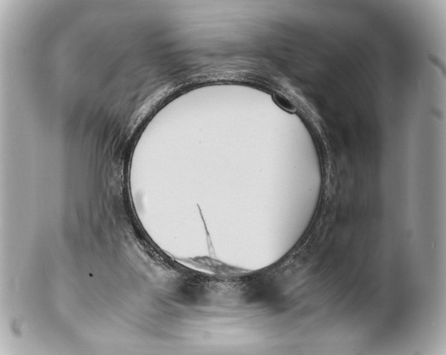 X0000101660107200807311444