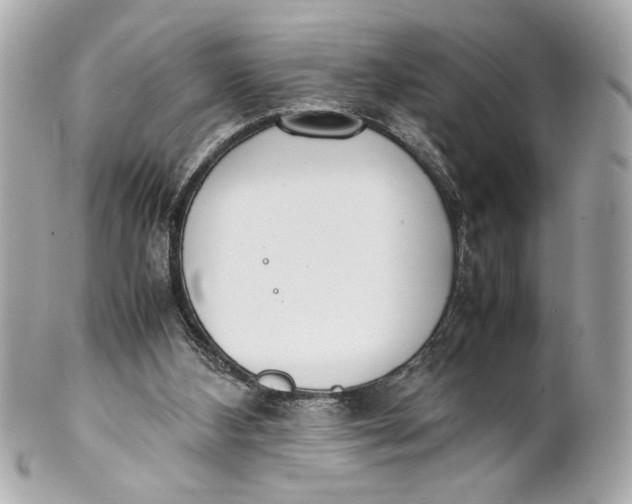 X0000101660108200807311444