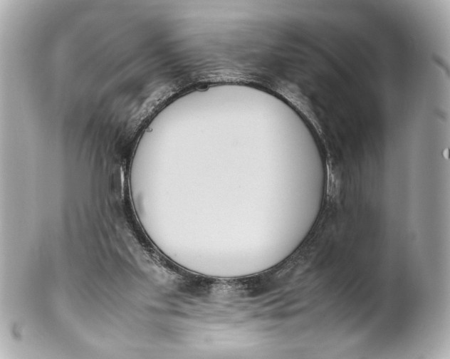 X0000101660109200807311444