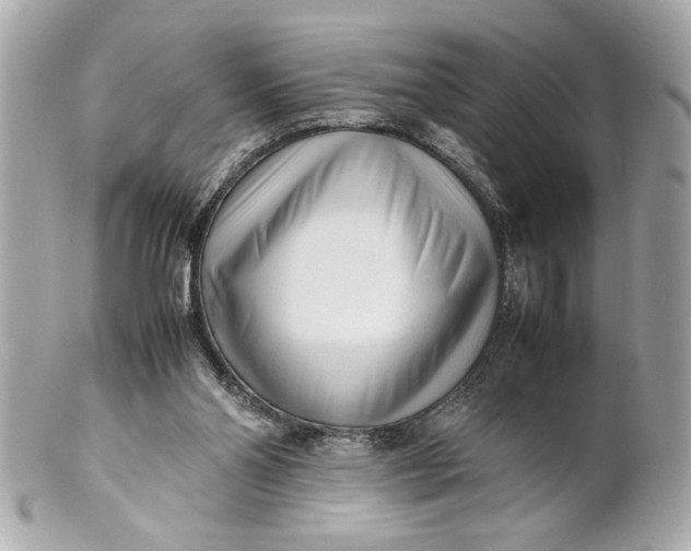 X0000101660110200807311444