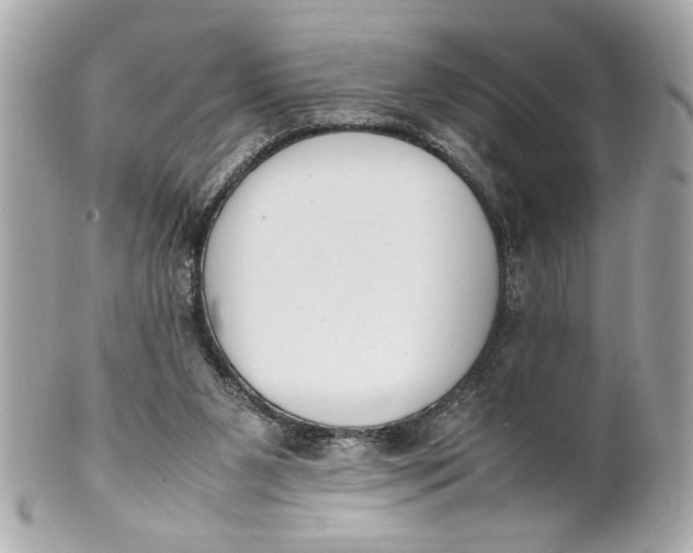 X0000101660111200807311444