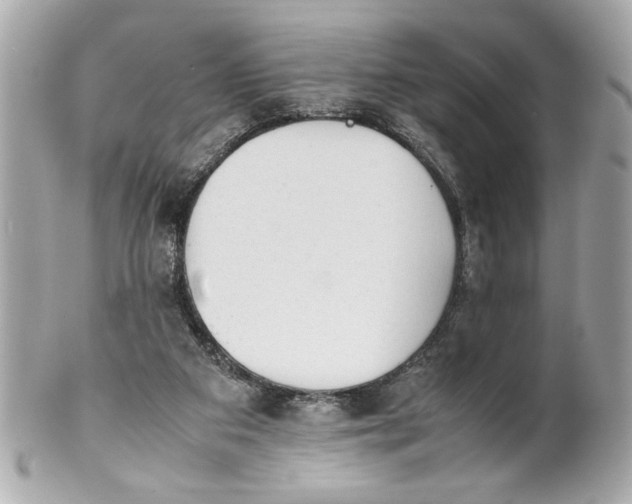 X0000101660113200807311444