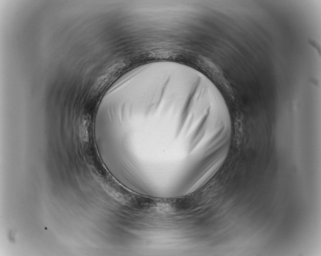 X0000101660114200807311444