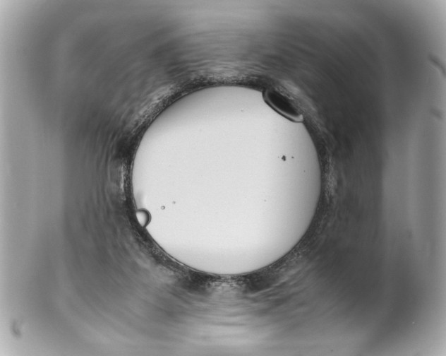 X0000101660115200807311444