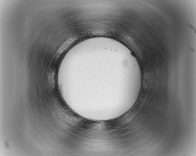 X0000101660116200807311444