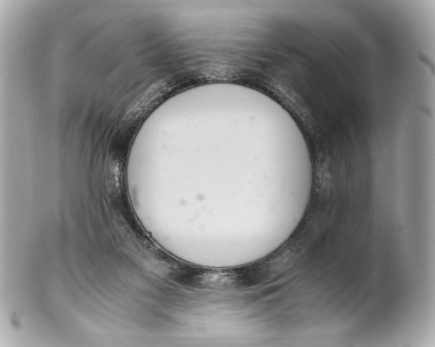 X0000101660117200807311444