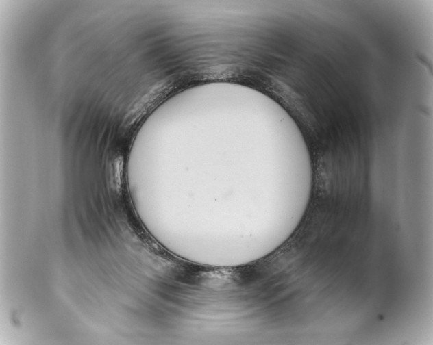 X0000101660118200807311444