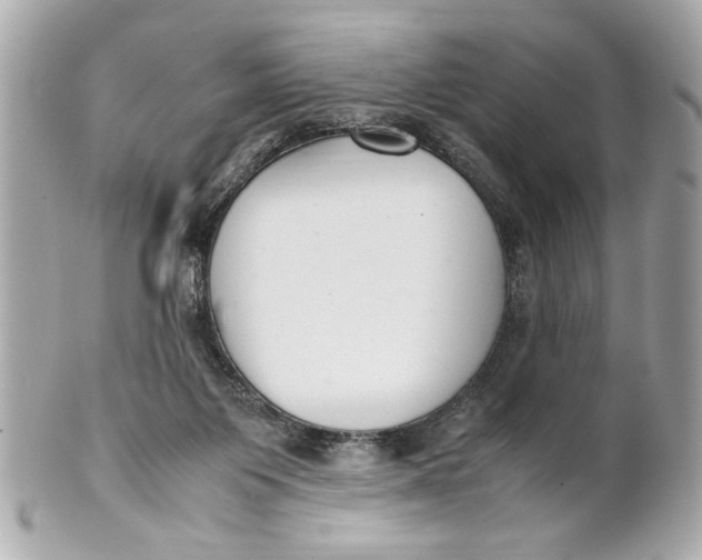 X0000101660119200807311444