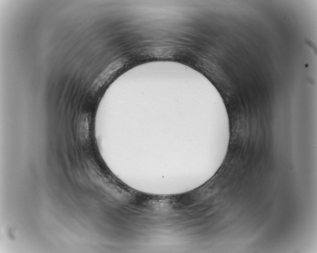 X0000101660120200807311444