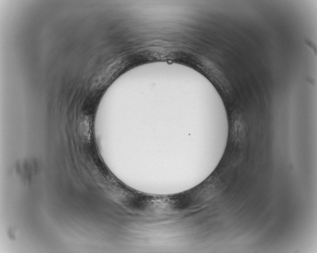 X0000101660121200807311444