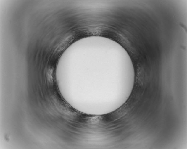 X0000101660122200807311444