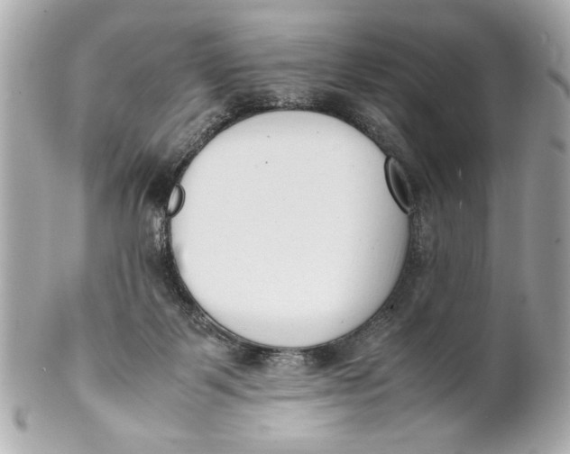 X0000101660123200807311444