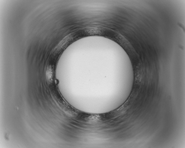 X0000101660124200807311444