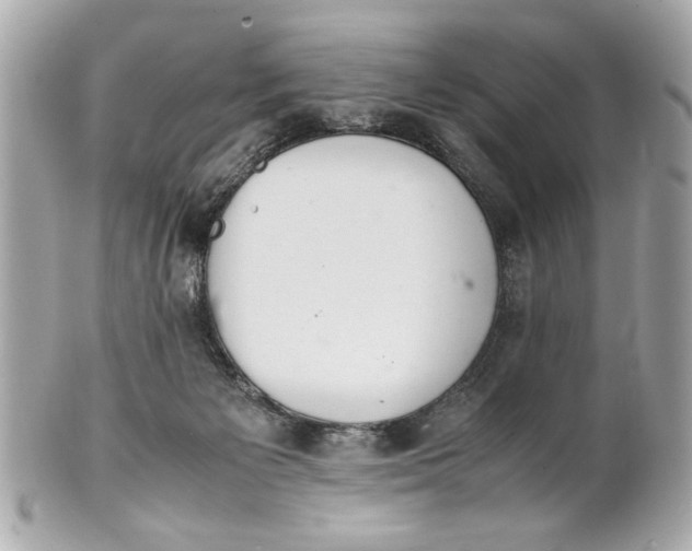 X0000101660125200807311444