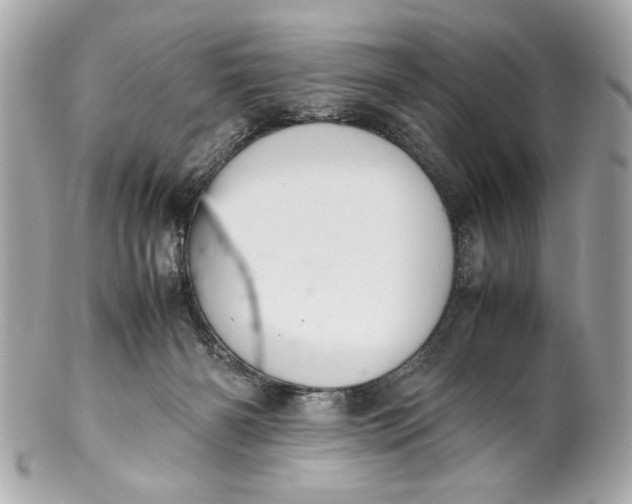 X0000101660126200807311444