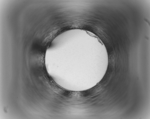 X0000101660127200807311444