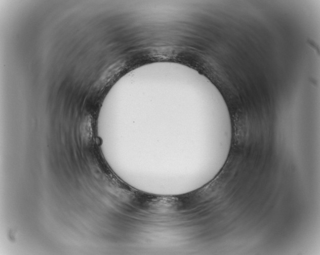 X0000101660128200807311443