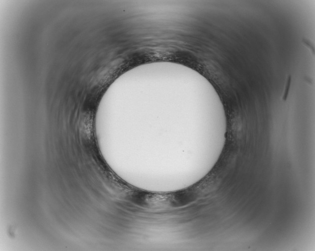 X0000101660129200807311443