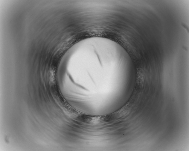 X0000101660130200807311443