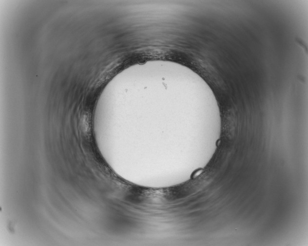 X0000101660131200807311443