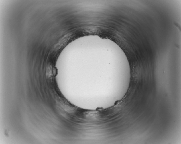 X0000101660132200807311443