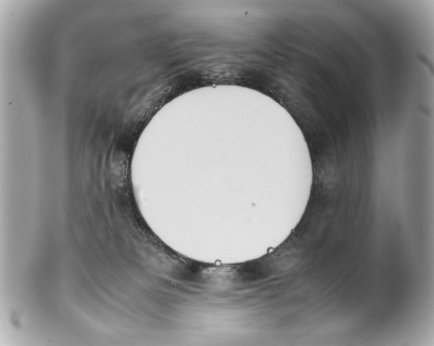 X0000101660133200807311443