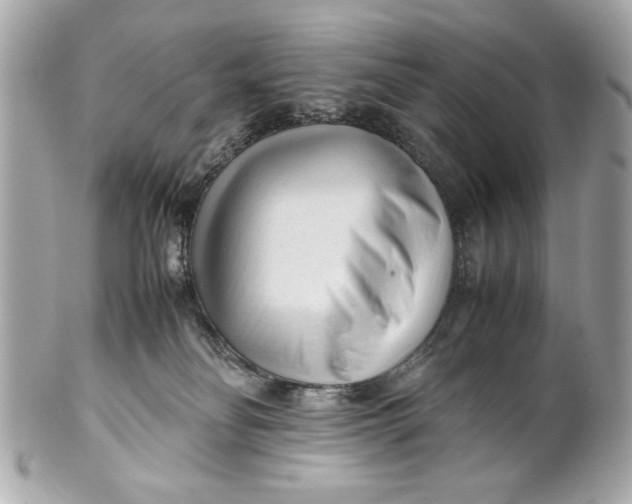 X0000101660134200807311443