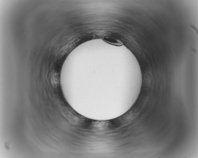 X0000101660135200807311443