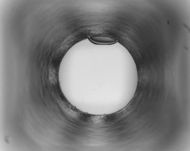 X0000101660136200807311443