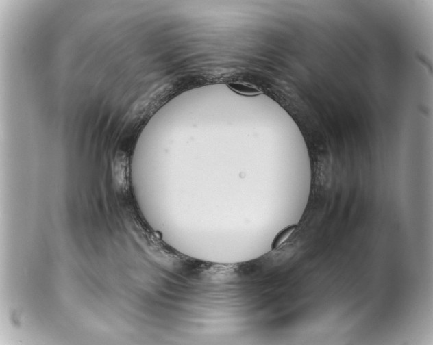 X0000101660138200807311443