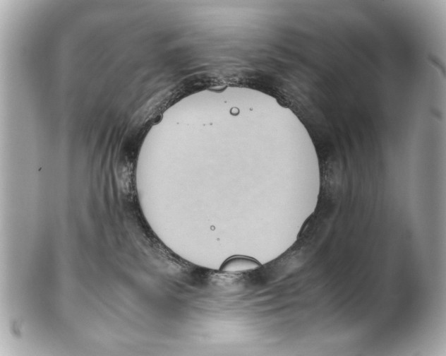 X0000101660139200807311443