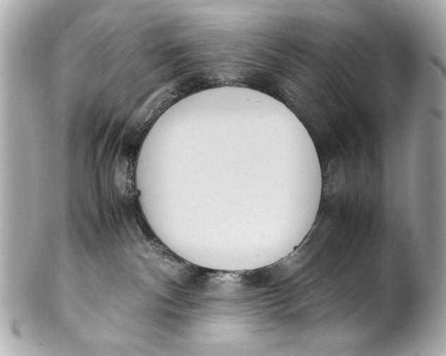 X0000101660140200807311443