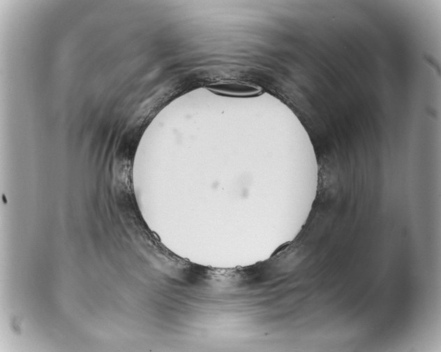 X0000101660141200807311443