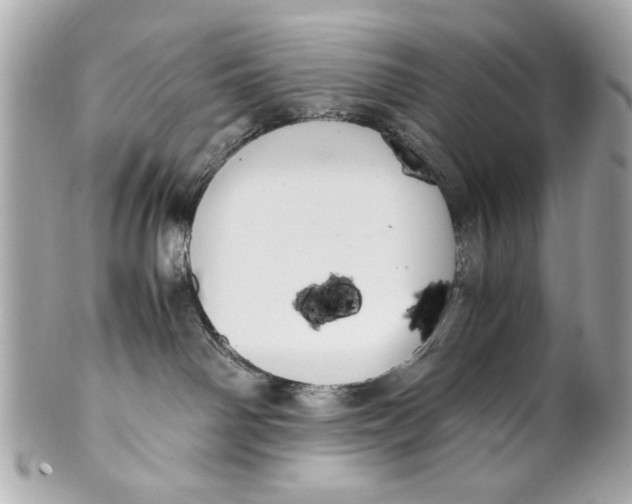 X0000101660142200807311443