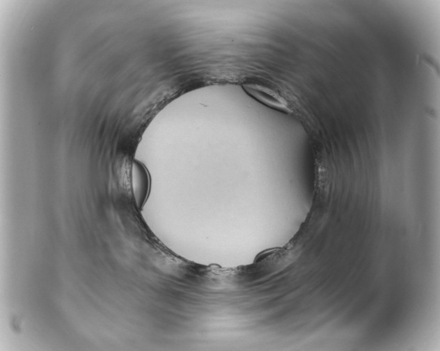 X0000101660143200807311443