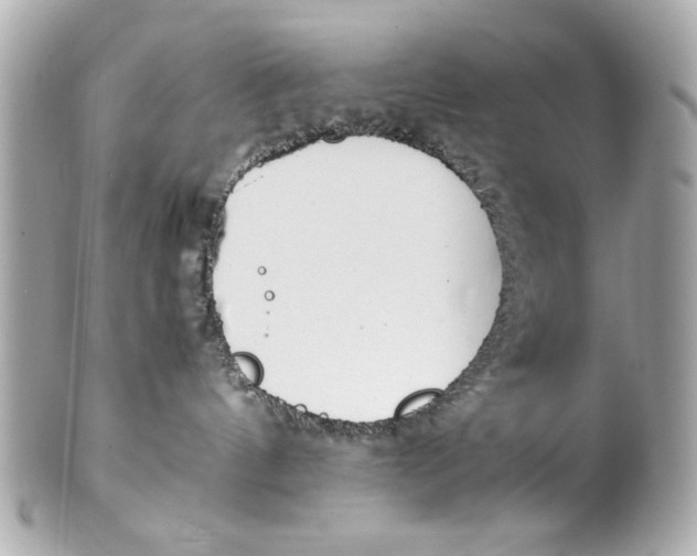 X0000101660144200807311443