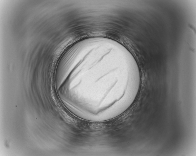 X0000101660145200807311443