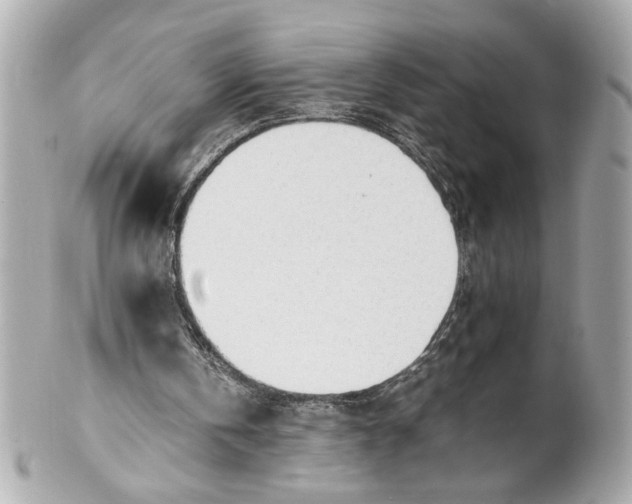 X0000101660146200807311443