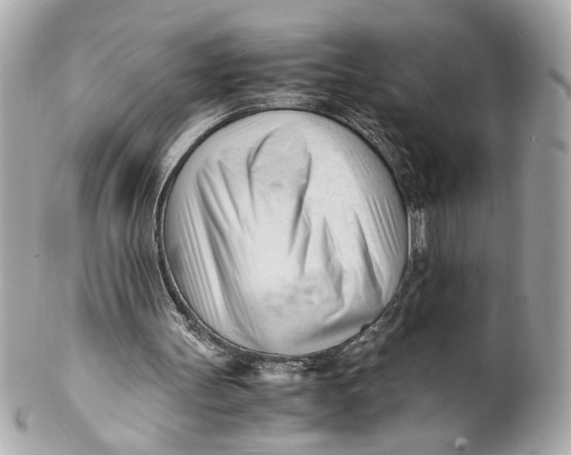 X0000101660147200807311443