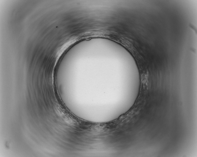 X0000101660148200807311443