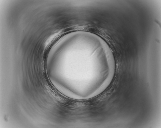 X0000101660149200807311443