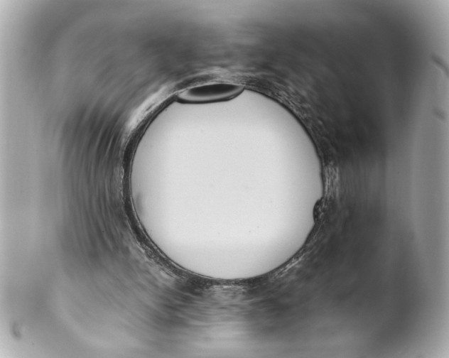 X0000101660150200807311443