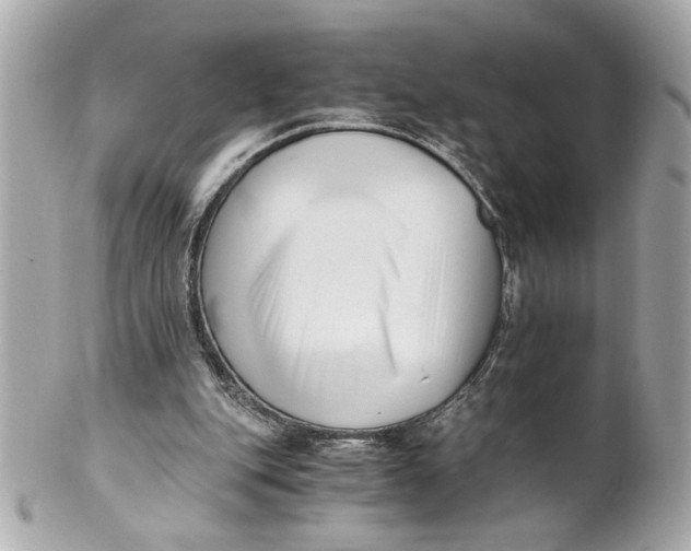 X0000101660151200807311443