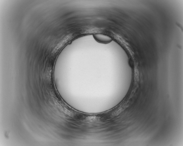 X0000101660153200807311443