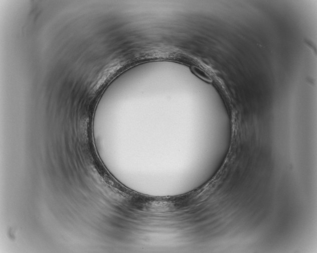 X0000101660154200807311443