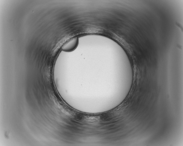 X0000101660155200807311443