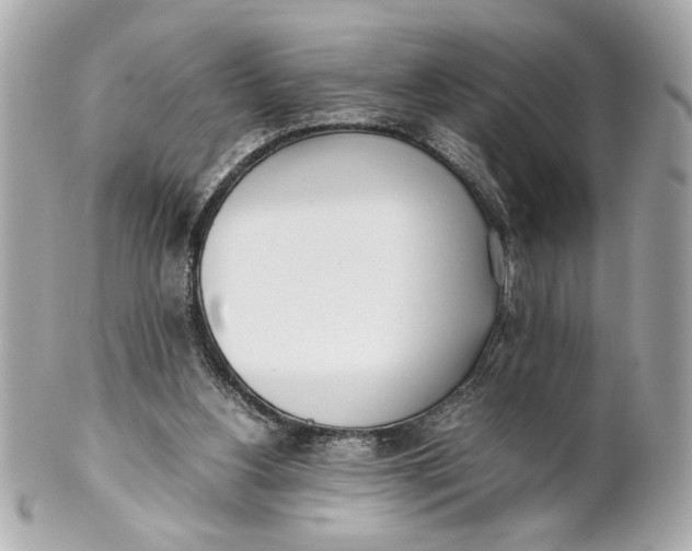 X0000101660156200807311443