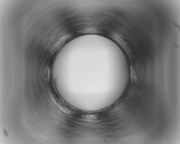 X0000101660157200807311443