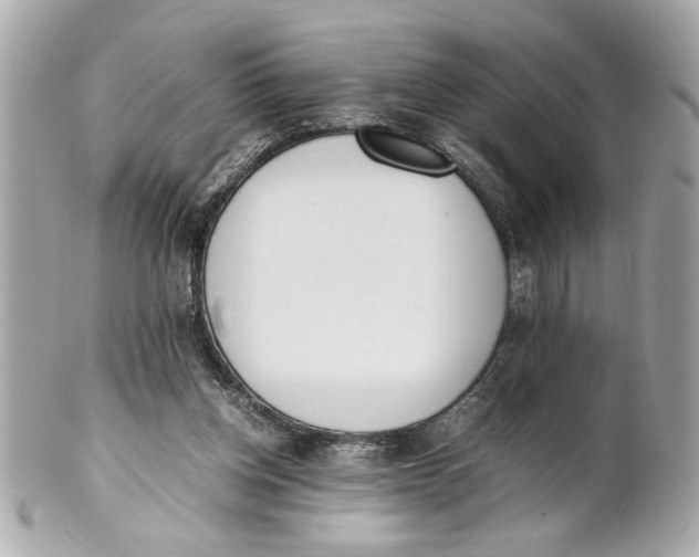 X0000101660158200807311443